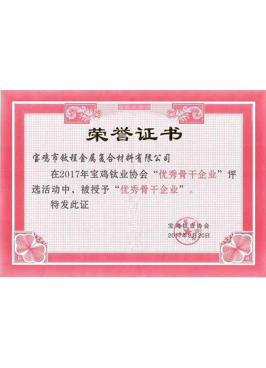優秀企業(yè)證書(shū)